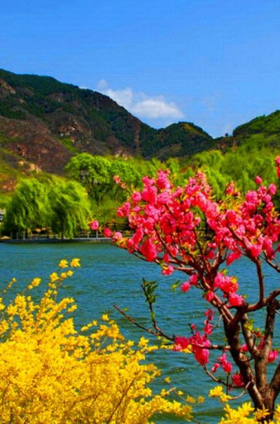 Mesmerising Kashmir